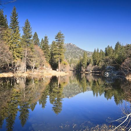 فيلا Idyllwild Bunkhouse المظهر الخارجي الصورة